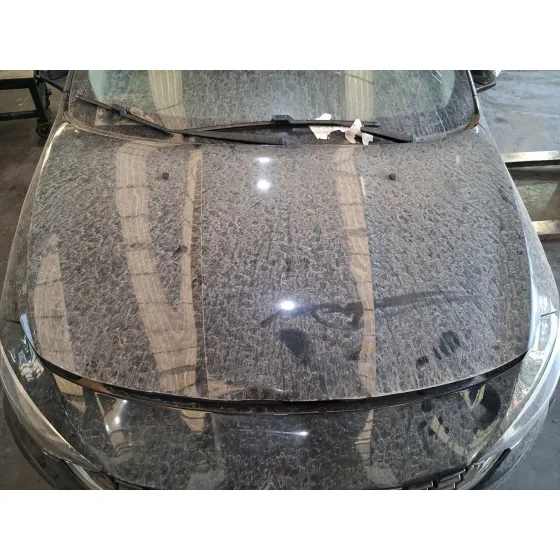 Capot para Fiat Tipo Station Wagon (356_, 357_)