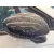 Retrovisor Derecho para Renault Clio V (B7_)