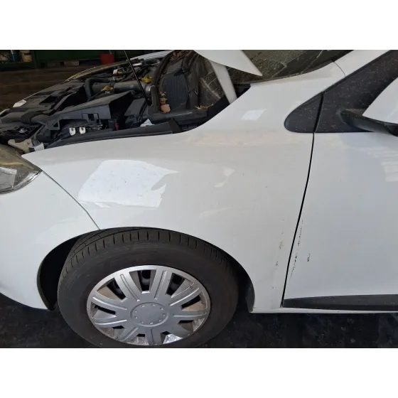 Aleta Delantera Izquierda para Renault Megane Iii Hatchback (Bz0/1_, B3_)
