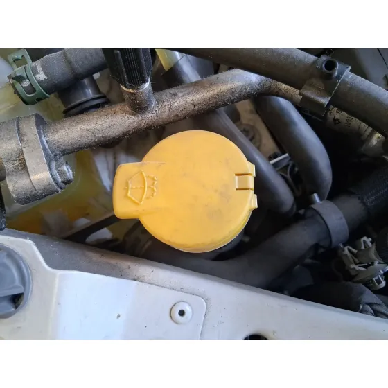 Deposito Limpia para Renault Megane Iii Hatchback (Bz0/1_, B3_)