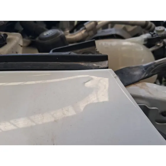 Aleta Delantera Derecha para Renault Clio V (B7_)
