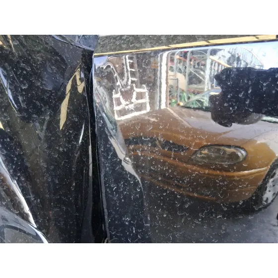 Puerta Delantera Izquierda para Citroën Berlingo (Er_, Ec_)