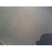 Elevalunas Delantero Derecho para Bmw 3 (G20, G80, G28)