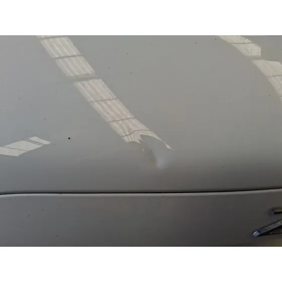 Porton Trasero para Renault Zoe (Bfm_)