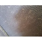 Elevalunas Delantero Derecho para Mini Mini (R50, R53)