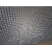 Elevalunas Delantero Izquierdo para Renault Kangoo Iii Furgoneta/Monovolumen