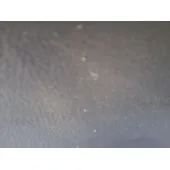 Elevalunas Trasero Izquierdo para Toyota C-Hr (_X1_)