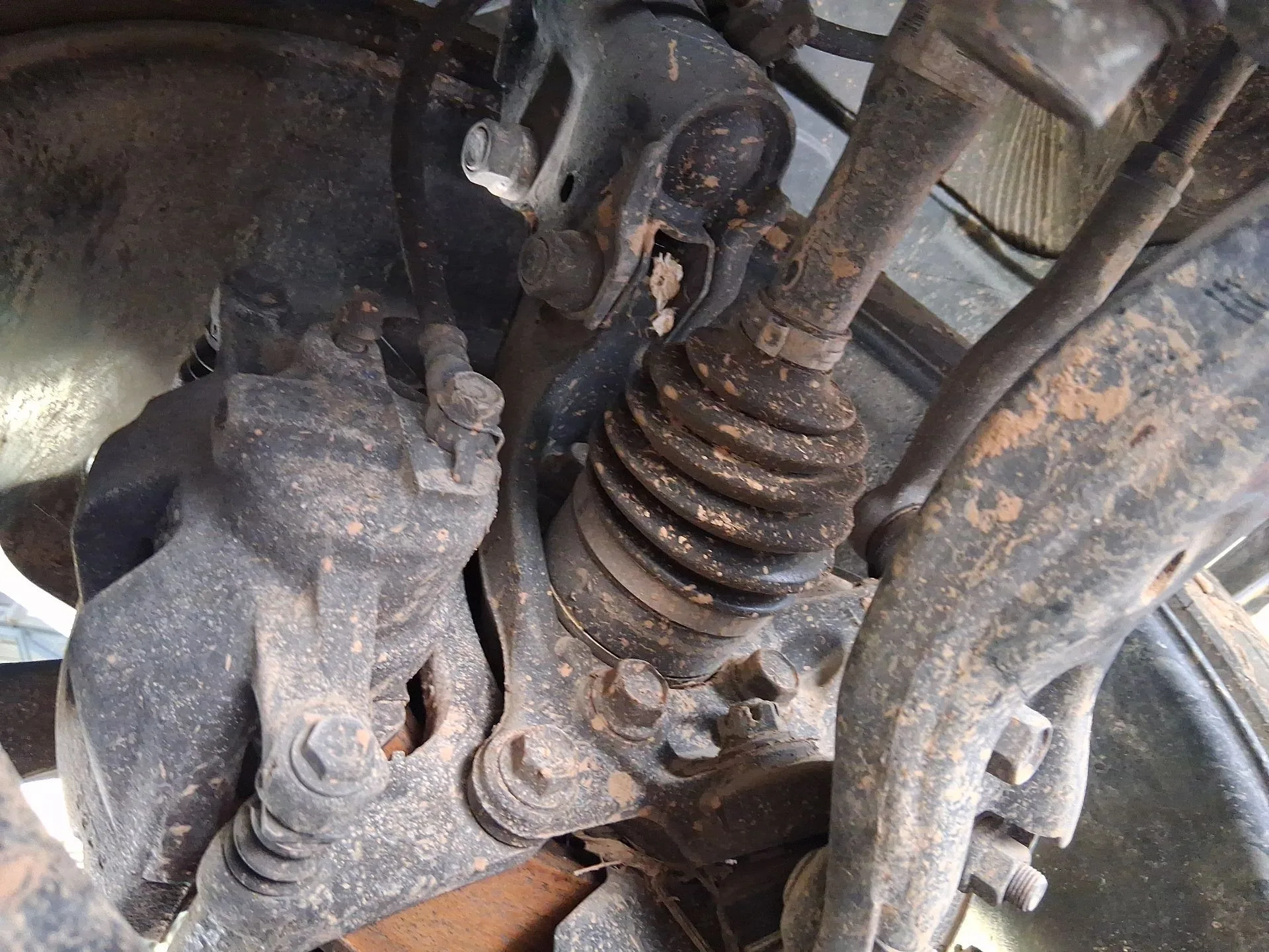 Mangueta Delantera Derecha para Toyota C-Hr (_X1_)