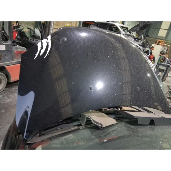 Capot para Ford Focus Ii Descapotable