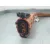 Modulo Electronico para Volkswagen Up! (121, 122, Bl1, Bl2, Bl3, 123)