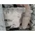 Motor Completo para Opel Corsa E (X15)