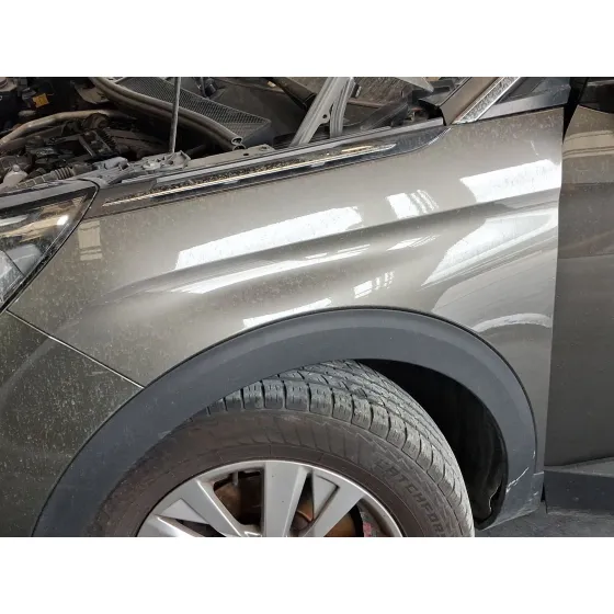 Aleta Delantera Izquierda para Peugeot 3008 Ii Suv (Mc_, Mr_, Mj_, M4_)