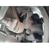 Pinza Freno Delantera Izquierda para Peugeot 3008 Ii Suv (Mc_, Mr_, Mj_, M4_)