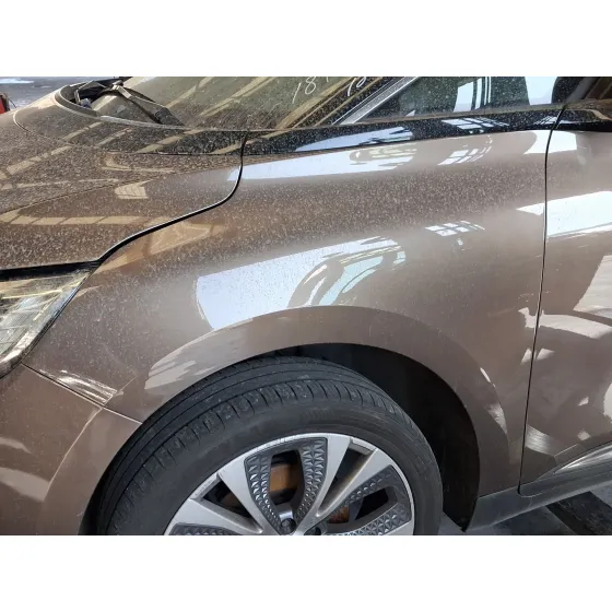 Aleta Delantera Izquierda para Renault Grand Scenic Iv (R9_)