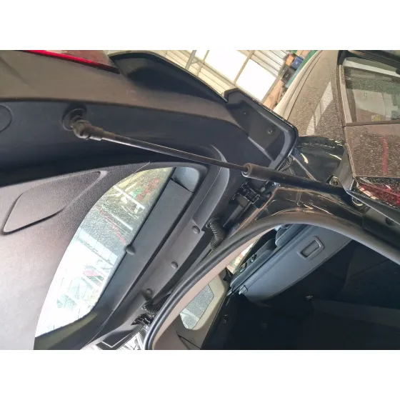 Amortiguadores Maletero / Porton para Renault Grand Scenic Iv (R9_)