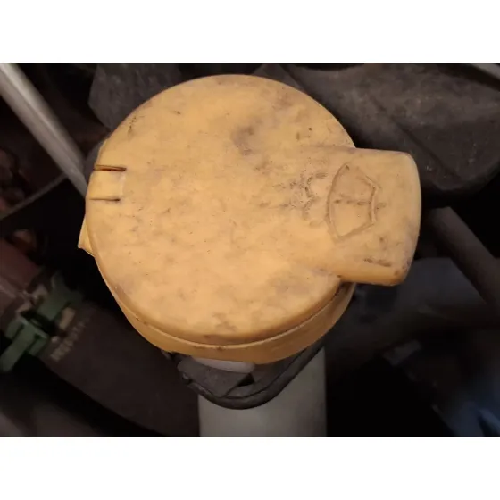 Deposito Limpia para Renault Grand Scenic Iv (R9_)
