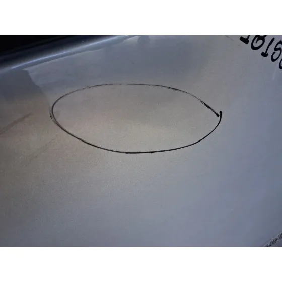 Puerta Trasera Derecha Carga para Renault Kangoo / Grand Kangoo Ii (Kw0/1_)