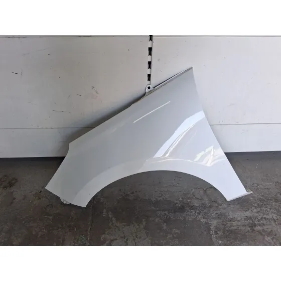 Aleta Delantera Izquierda para Ford Fiesta Vii (Hj, Hf)