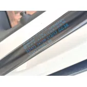 Amortiguadores Maletero / Porton para Bmw 1 (F20)
