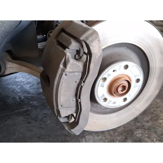 Pinza Freno Delantera Izquierda para Audi A8 D3 (4E2, 4E8)