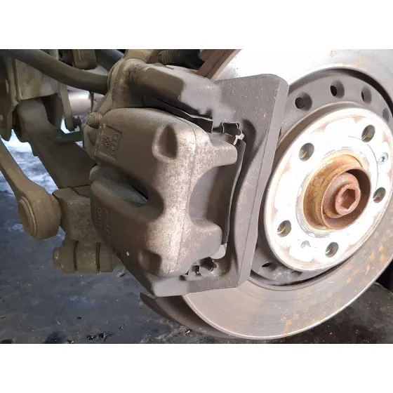 Pinza Freno Trasera Derecha para Audi A8 D3 (4E2, 4E8)