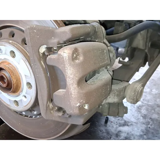 Pinza Freno Trasera Izquierda para Audi A8 D3 (4E2, 4E8)
