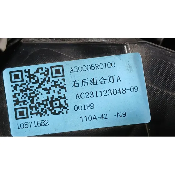 Piloto Trasero Derecho Exterior para Mg Zs Suv (Azs1)