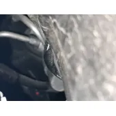 Bomba Freno para Renault Clio V (B7_)