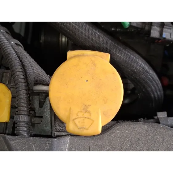 Deposito Limpia para Renault Clio V (B7_)
