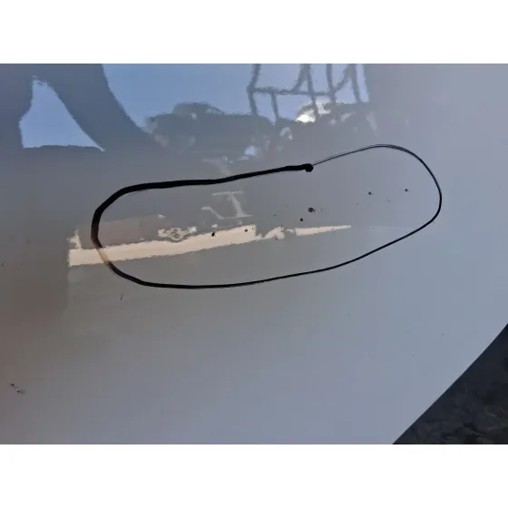 Puerta Trasera Izquierda para Toyota Yaris (_P13_)