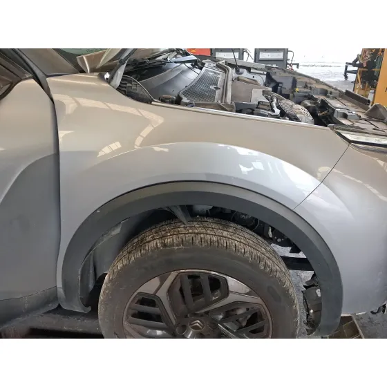 Aleta Delantera Derecha para Citroën C4 Iii (Ba_, Bb_, Bc_)