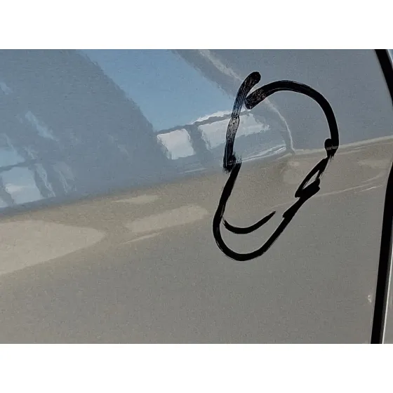 Puerta Trasera Derecha para Ford Ecosport