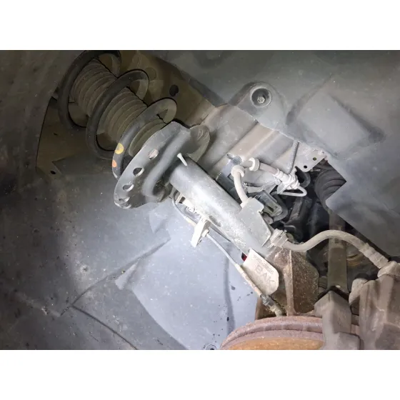 Amortiguador Delantero Derecho para Ford S-Max (Wa6)