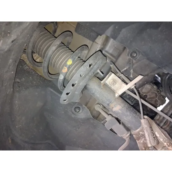 Amortiguador Delantero Izquierdo para Ford S-Max (Wa6)