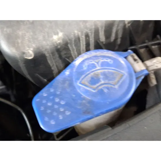 Deposito Limpia para Ford S-Max (Wa6)