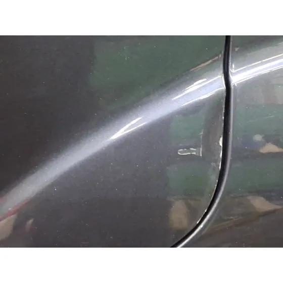 Puerta Trasera Izquierda para Ford S-Max (Wa6)