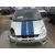 FORD FIESTA (CBK) '2004 AMBIENTE GRIS
