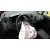 SEAT IBIZA (6J5) '2015 STYLANCE / STYLE GRIS