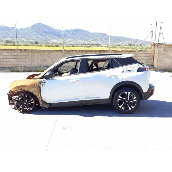 Peugeot 2008 II (UD_, US_, UY_, UJ_, UR_, UC_) 2019