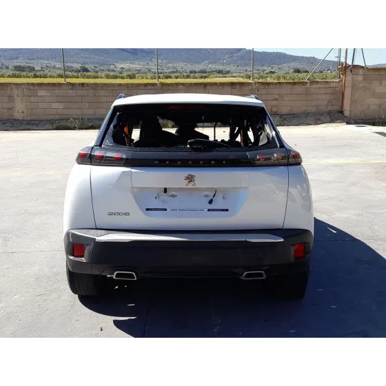 Peugeot 2008 II (UD_, US_, UY_, UJ_, UR_, UC_) 2019
