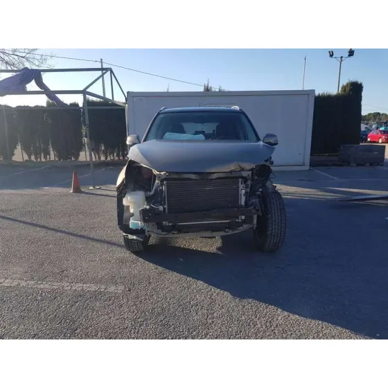 DR 5.0 '2019 SPECIAL BEIG