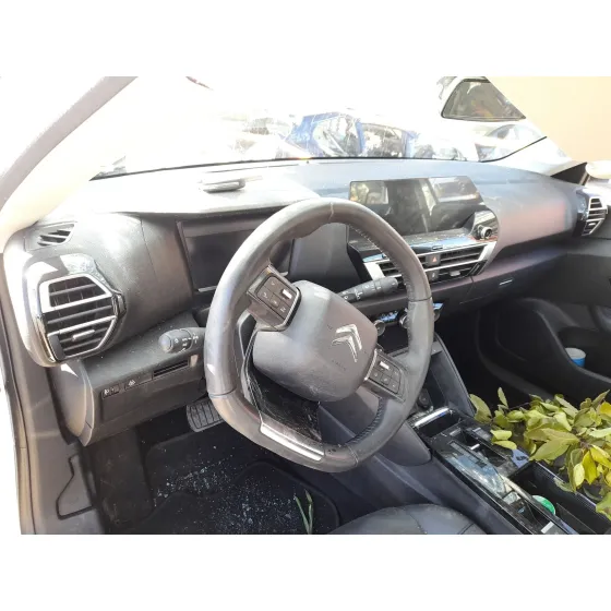 Citroen C4 III (BA_, BB_, BC_) 2020