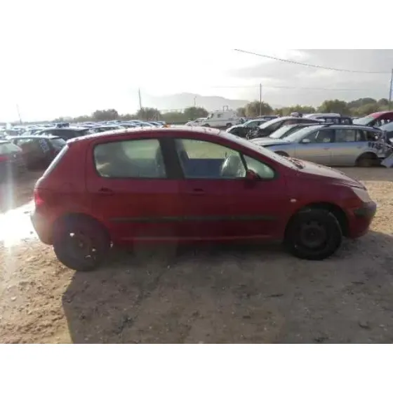 PEUGEOT 307 (S1) '2004 XS GRANATE