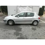 PEUGEOT 307 (S1) '2002 XT GRIS