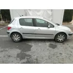 PEUGEOT 307 (S1) '2002 XT GRIS
