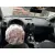 NISSAN QASHQAI+2 (JJ10) '2009 ACENTA NEGRO
