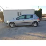 PEUGEOT 307 (S1) '2001 XN GRIS