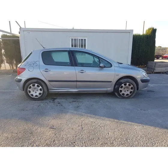 PEUGEOT 307 (S1) '2001 XN GRIS