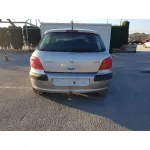 PEUGEOT 307 (S1) '2001 XN GRIS