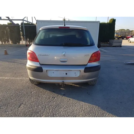 PEUGEOT 307 (S1) '2001 XN GRIS